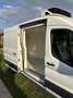 Ford Transit koel- en vrieswagen tot -22* C - thumbnail 4