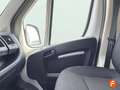 Opel Movano 2.2 120CV L1H1 (2025) Blanco - thumbnail 24