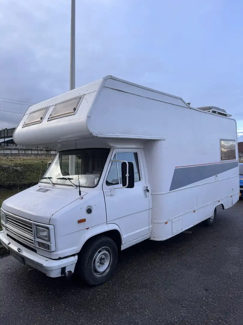 Peugeot Camper Oldtimer Clasiek 40 Jaar Beige - 1