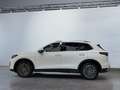 Volkswagen Tiguan Elegance 1.5 eTSI DSG 360 Grad Kamera Weiß - thumbnail 3