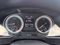 Skoda Superb Superb Kombi 2,0 TDI Sportline 4x4 DSG Sportline Schwarz - thumbnail 13