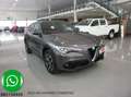 Alfa Romeo Stelvio 2.2 DIESEL 154KW 210CV SUPER Q4 Argento - thumbnail 1