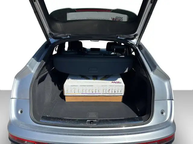 Audi SQ5 view 10