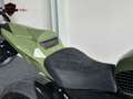 BMW S 1000 R Groen - thumbnail 12
