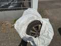 Volkswagen Sharan Comfortline BMT/Start-Stopp,Navi,Klima,St Grau - thumbnail 10