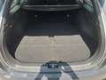 Kia Ceed SW / cee'd SW CEEDSW SILBER UVO 1.5 TGDI 48V DCT7 140 Negro - thumbnail 20