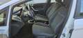 Ford Fiesta 1.4 tdci 5 porte 70cv km 113.000 Weiß - thumbnail 11
