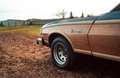 Ford Ranchero Squire Blau - thumbnail 6