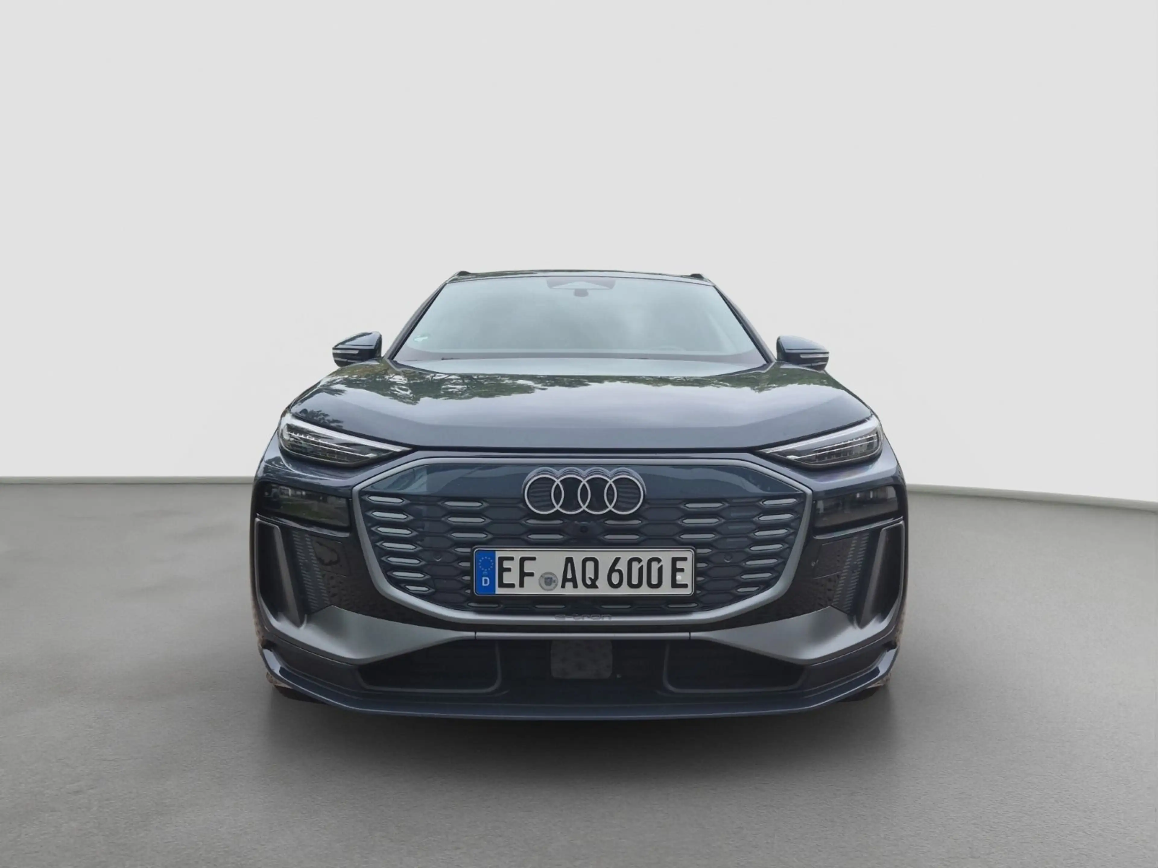 Audi e-tron Q6 SUV e-tron quattro *360°-Kamera*Verkeh — photo 2