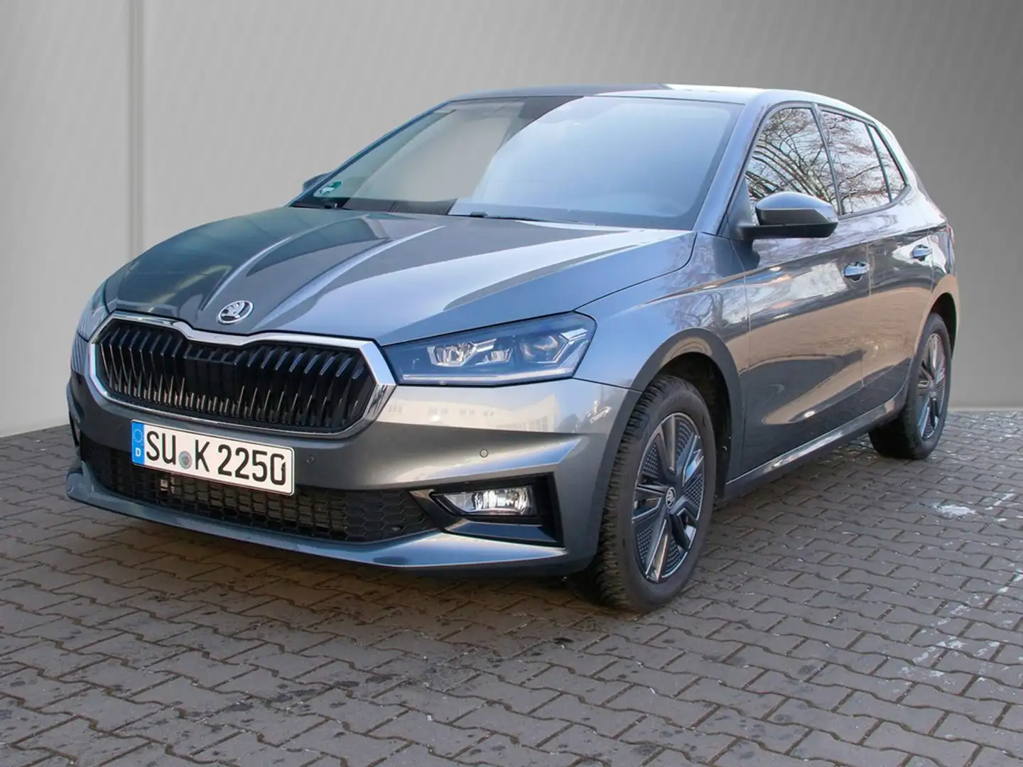 Skoda Fabia Tour 1.0 TSI 7-Gang-DSG Grau - 2