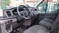 Ford Transit 350 2.0TDCi EcoBlue 170CV PL-TM Furgone Trend Wit - thumbnail 2