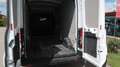 Ford Transit 350 2.0TDCi EcoBlue 170CV PL-TM Furgone Trend Wit - thumbnail 13