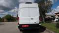 Ford Transit 350 2.0TDCi EcoBlue 170CV PL-TM Furgone Trend Wit - thumbnail 7