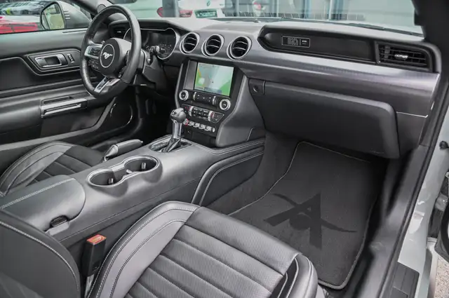 Ford Mustang view 11