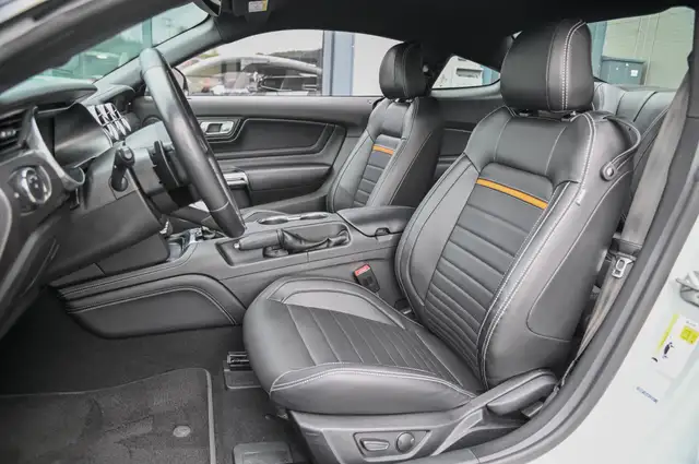 Ford Mustang view 12