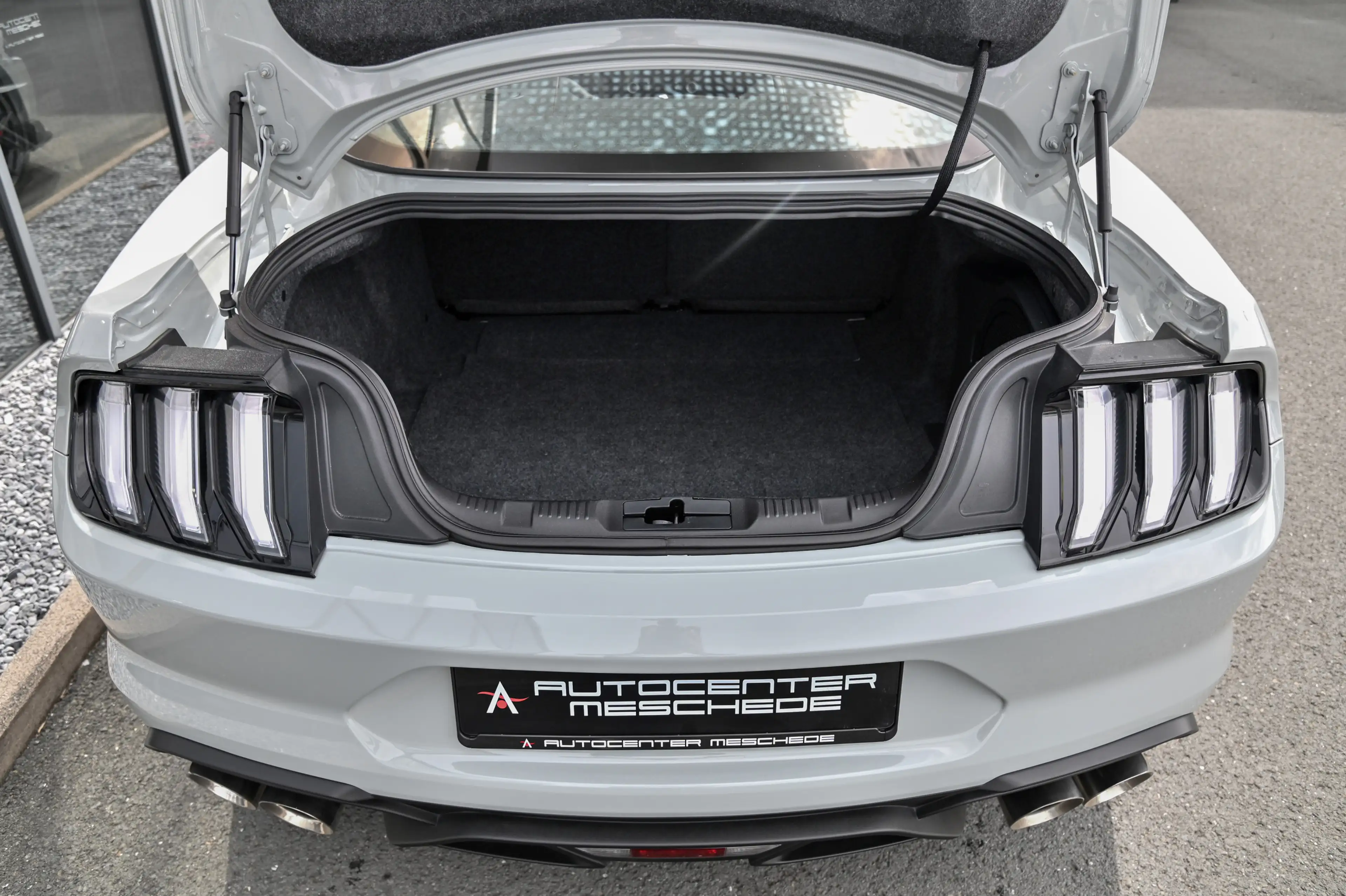 Ford Mustang 5.0 Ti-VCT V8 Aut Mach 1 Navi* MagneRide — photo 9