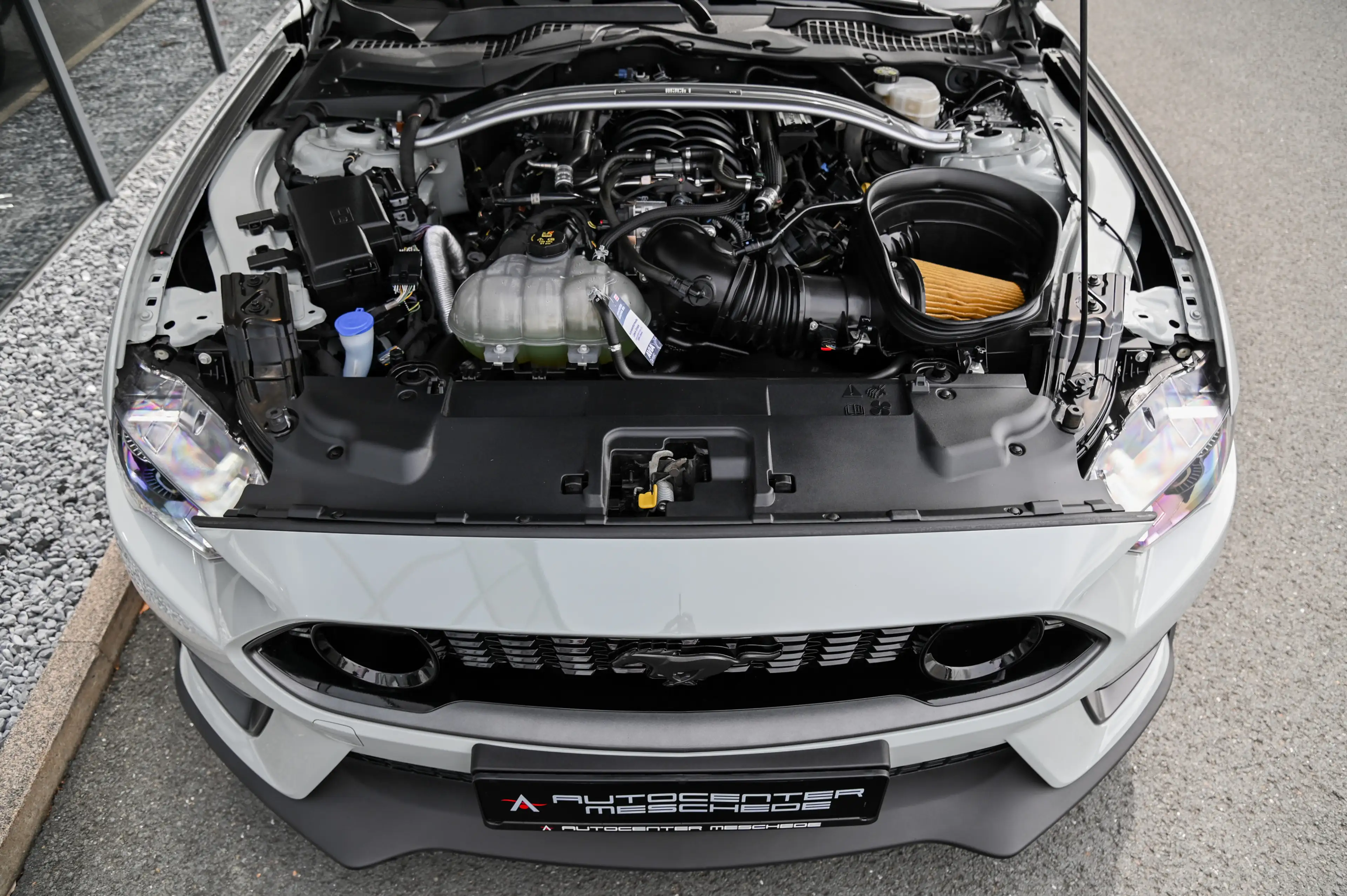 Ford Mustang 5.0 Ti-VCT V8 Aut Mach 1 Navi* MagneRide — photo 8
