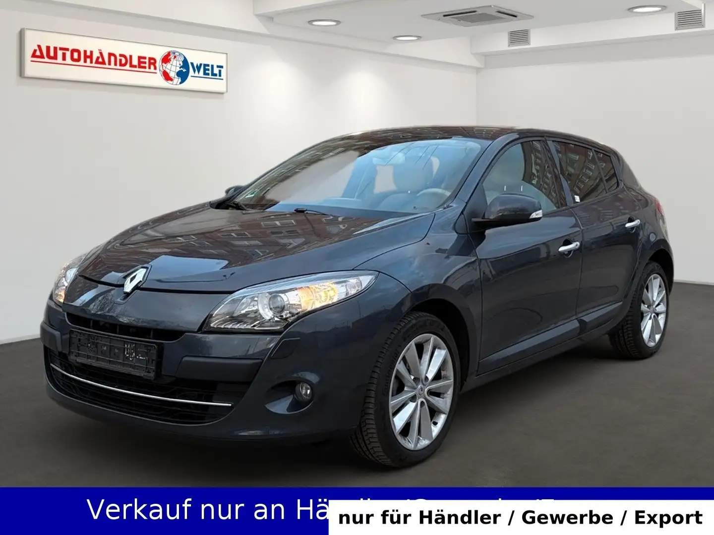 Renault Megane 2.0 5-trg. Luxe Automatik Xenon Leder SHZ Grau - 1