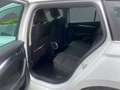 Skoda Octavia Combi Style 2.0 TDI+Alufelgen+Navi+Klimaautomatik Weiß - thumbnail 6