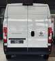 Fiat Ducato Grossr.-Kasten 35 140 L4H2 RS: 4035 mm Kamera Wit - thumbnail 6
