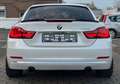 BMW 435 i CABRIO*SPORT-LINE*H&K-HEAD-UP-KAM-TMP-LEDER Weiß - thumbnail 10