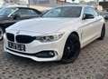BMW 435 i CABRIO*SPORT-LINE*H&K-HEAD-UP-KAM-TMP-LEDER Weiß - thumbnail 5