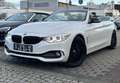 BMW 435 i CABRIO*SPORT-LINE*H&K-HEAD-UP-KAM-TMP-LEDER Weiß - thumbnail 1