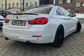 BMW 435 i CABRIO*SPORT-LINE*H&K-HEAD-UP-KAM-TMP-LEDER Weiß - thumbnail 6