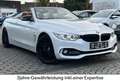 BMW 435 i CABRIO*SPORT-LINE*H&K-HEAD-UP-KAM-TMP-LEDER Weiß - thumbnail 2