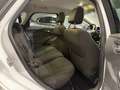 Ford Focus Focus SW 1.6 Titanium Gpl 120cv Weiß - thumbnail 13