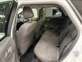 Ford Focus Focus SW 1.6 Titanium Gpl 120cv Weiß - thumbnail 14