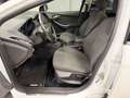 Ford Focus Focus SW 1.6 Titanium Gpl 120cv Weiß - thumbnail 7