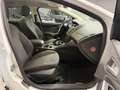 Ford Focus Focus SW 1.6 Titanium Gpl 120cv Weiß - thumbnail 12