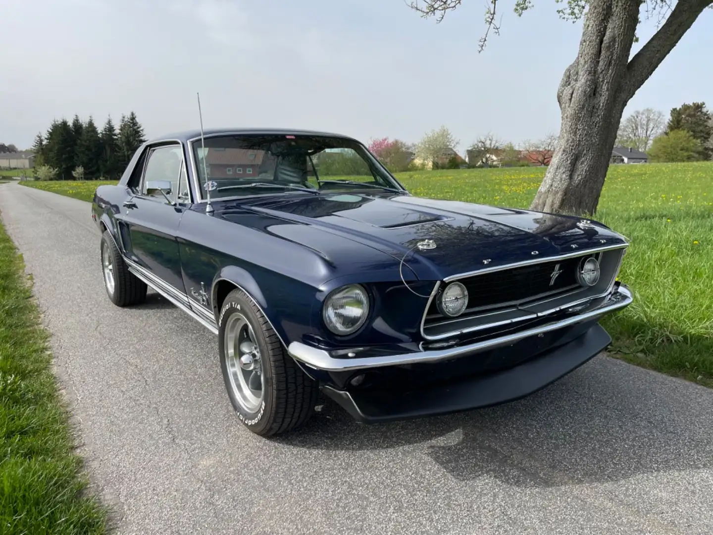 Ford Mustang toller Wagen mit vielen Optionen Bleu - 1