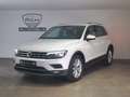 Volkswagen Tiguan 2,0 TDI SCR Highline DSG, Keyless, Virtual, AHK... Blanco - thumbnail 1