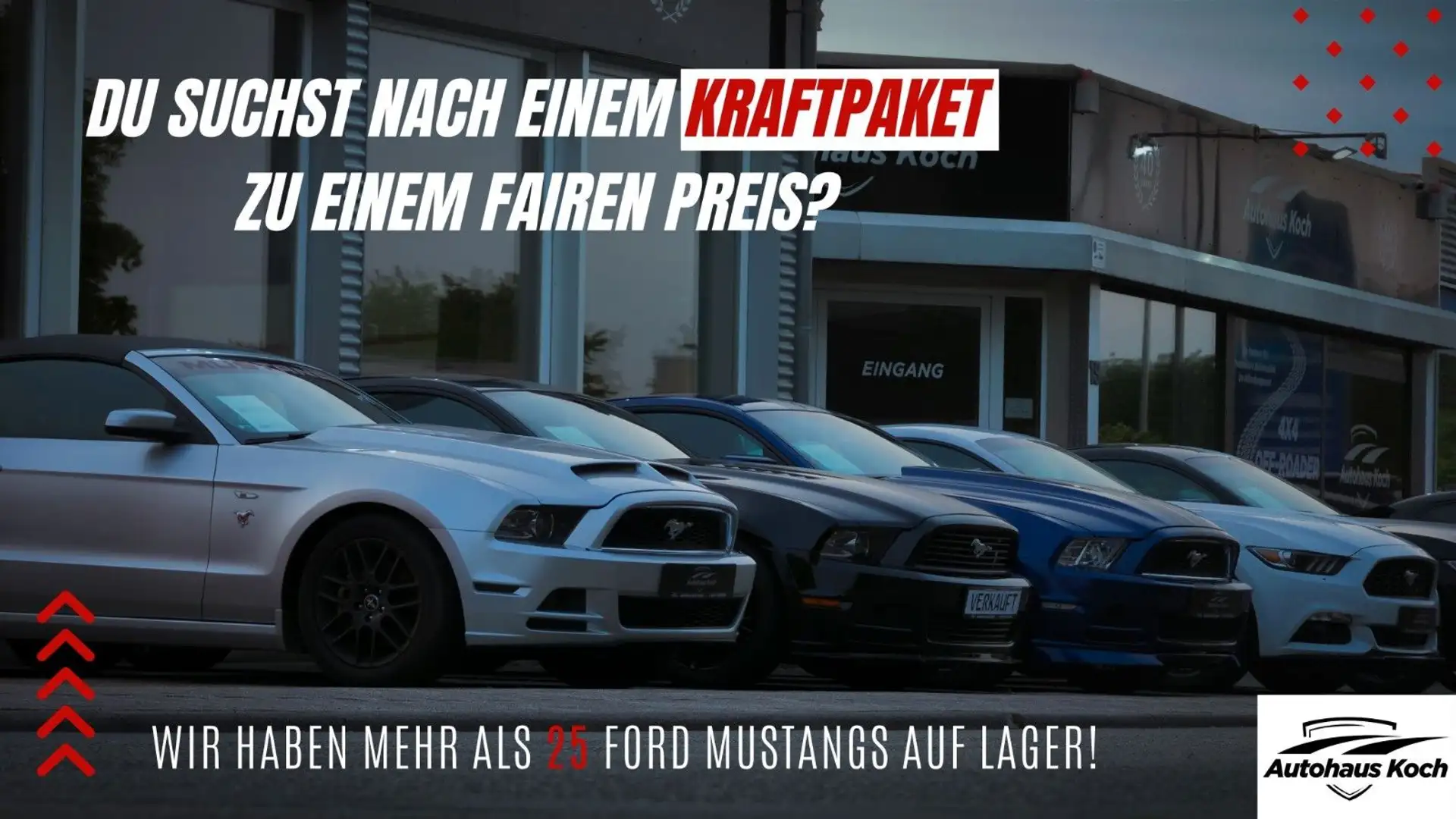 Ford Mustang MUSTANG | MEHR ALS 30 FORD MUSTANGS AUF LAGER! Blau - 1