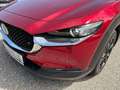 Mazda CX-30 e-Skyactive G140 Homura Aut. AUTO STAHL WIEN 21... Rot - thumbnail 5