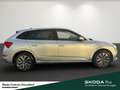 Skoda Scala Clever TSI Business-Paket Schließ-/Startsystem Kes Silber - thumbnail 3