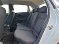 Volkswagen Polo 5p 1.0 tgi trendline 90cv my19 - thumbnail 10