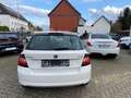 Skoda Fabia Active 1.0 75PS Klimaanlage I-Hand Euro 6 Blanco - thumbnail 8