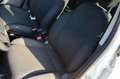 Lancia Ypsilon 1.2 Gold Gpl 69cv, PREZZO REALE, GARANZIA UFF Bianco - thumbnail 12