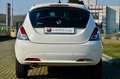 Lancia Ypsilon 1.2 Gold Gpl 69cv, PREZZO REALE, GARANZIA UFF Bianco - thumbnail 5