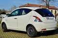 Lancia Ypsilon 1.2 Gold Gpl 69cv, PREZZO REALE, GARANZIA UFF Bianco - thumbnail 4