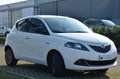 Lancia Ypsilon 1.2 Gold Gpl 69cv, PREZZO REALE, GARANZIA UFF Bianco - thumbnail 7
