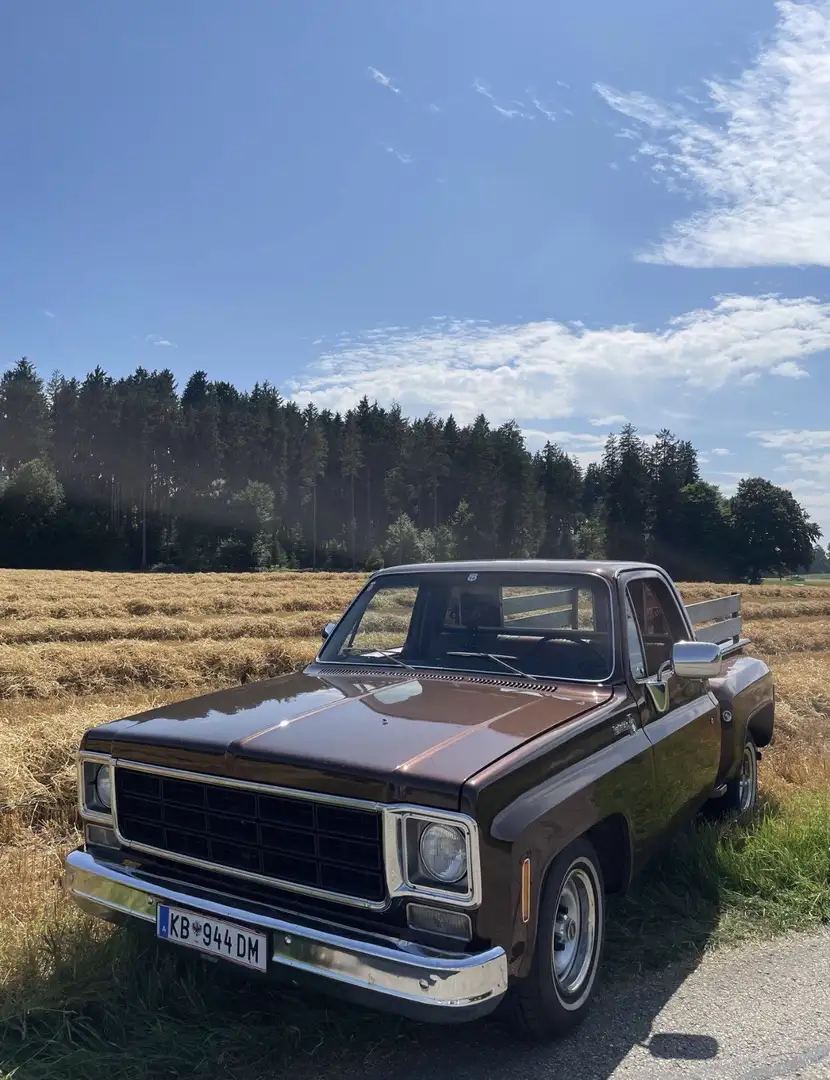 Chevrolet Silverado C10 Stepside - 1
