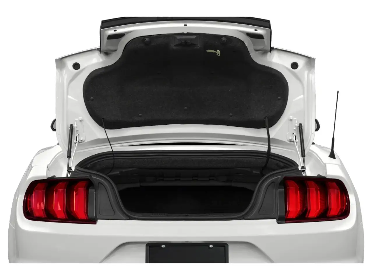 Ford Mustang fotografie Ford Mustang