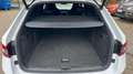 Skoda Superb Combi 2.0TDI DSG Sportline LED ACC Weiß - thumbnail 11