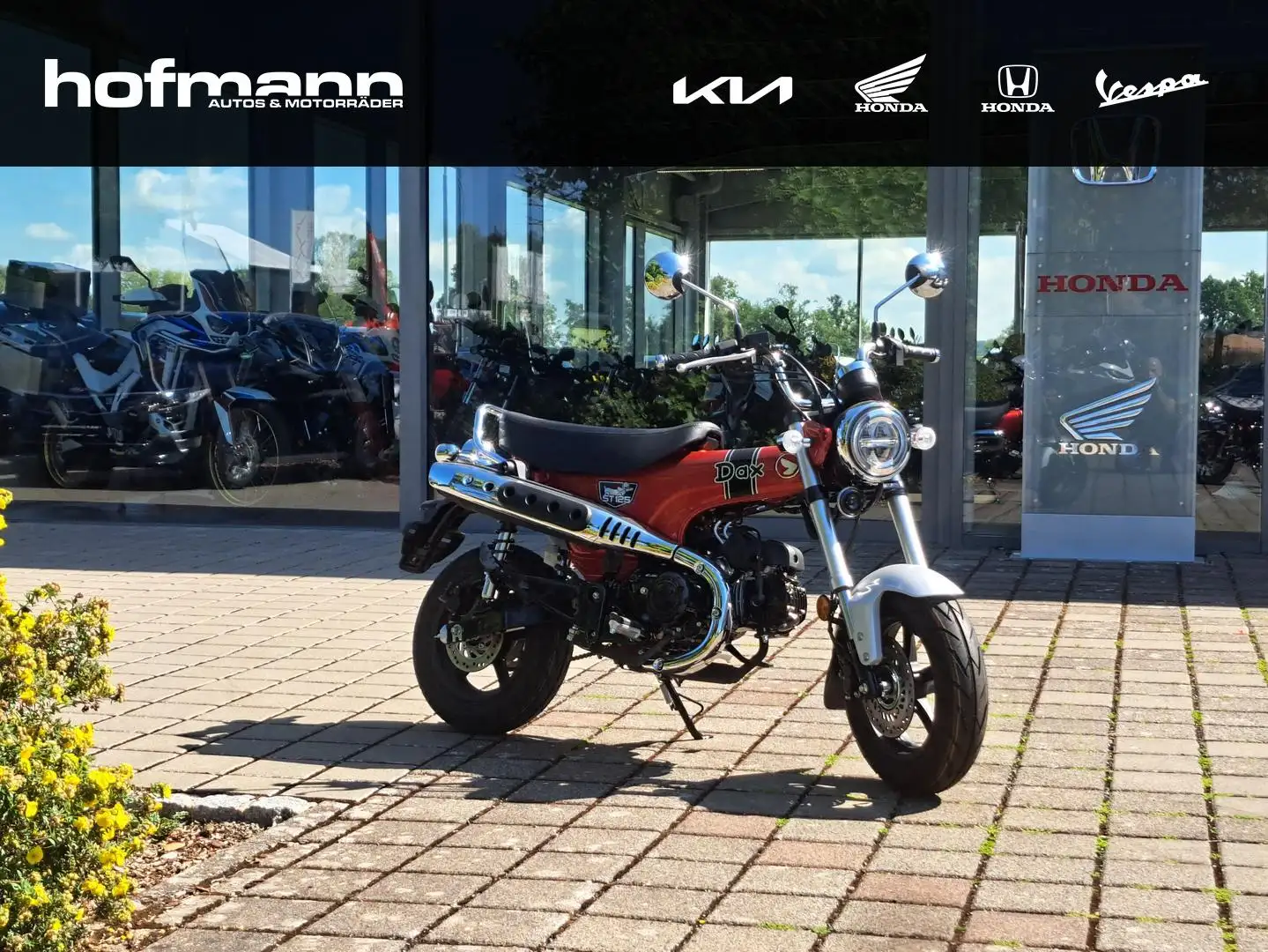 Honda Dax ST 50 DAX ST 125 Rot - 1
