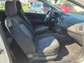 Fiat Punto Evo Punto Evo 3p 1.3 mjt Dynamic s - thumbnail 10