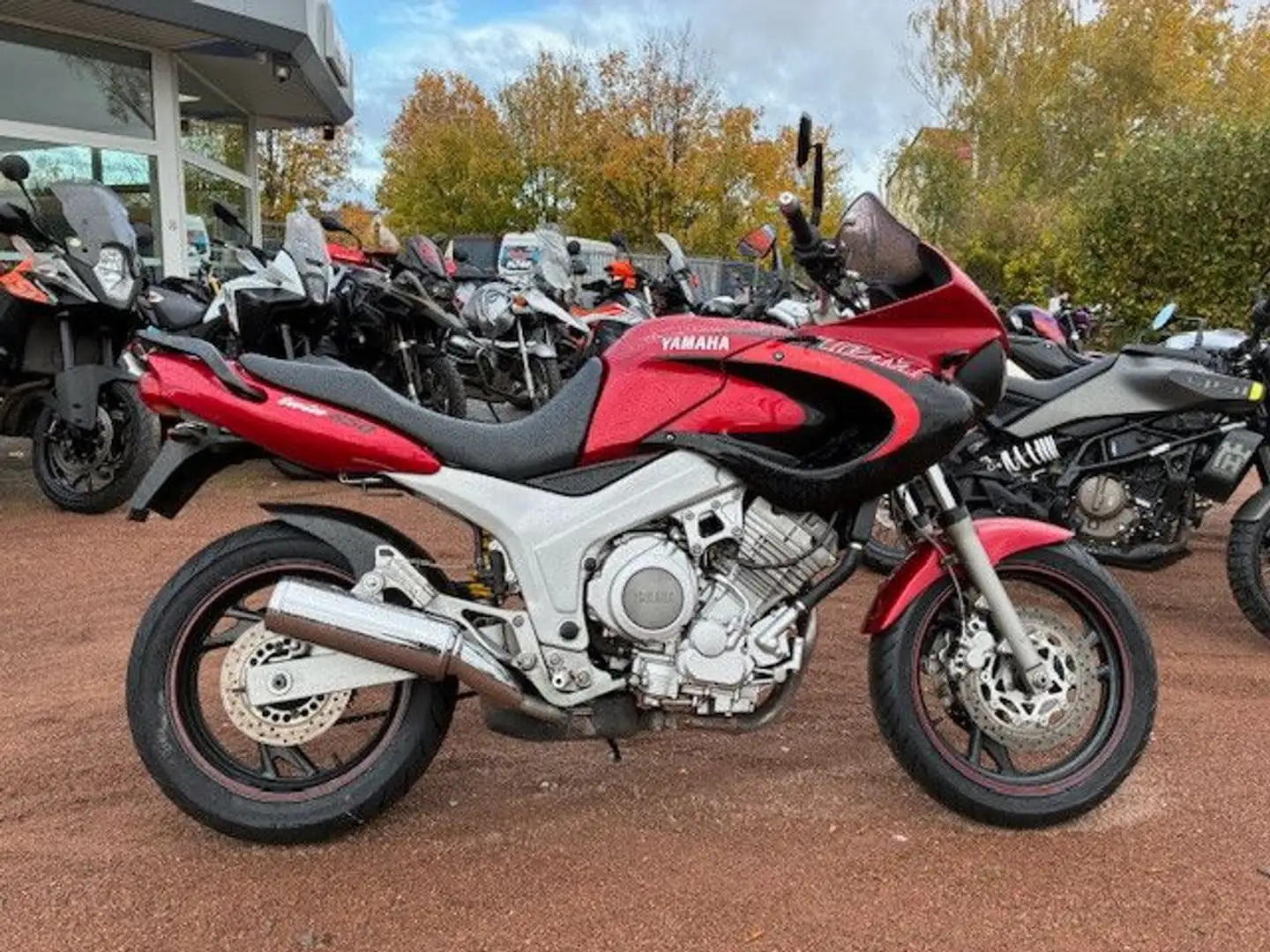 Yamaha TDM 850 Rot - 1